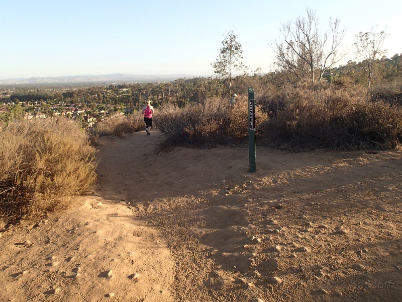 2013-06 Renegade 5Mile 042.JPG - 2013 Renegade 5 Mile - Tustin California